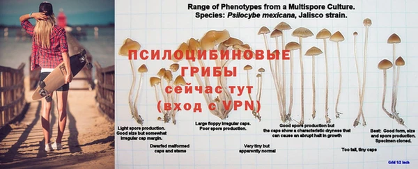 шишки Абдулино